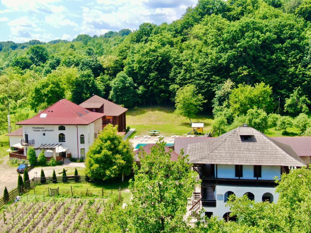 Casa Cartianu Hotell Târgu Jiu Exteriör bild